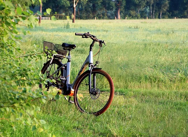 Was soll ich beachten wenn ich ein E-Bike kaufe?