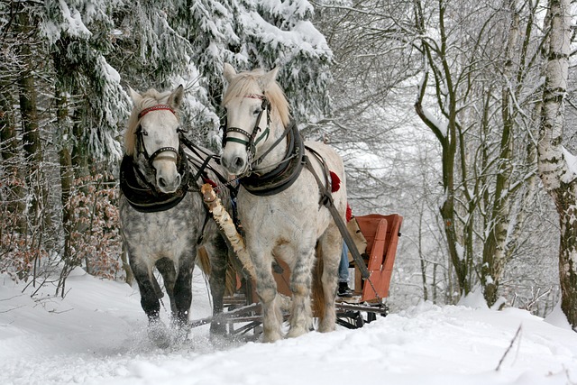 Extrem warme Winterjacken: Der perfekte Begleiter für eisige Temperaturen